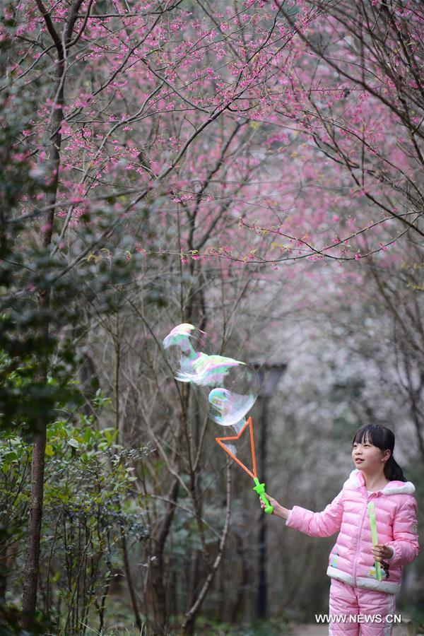 #CHINA-FLOWER BLOSSOM-TEMPERATURE RISE (CN)