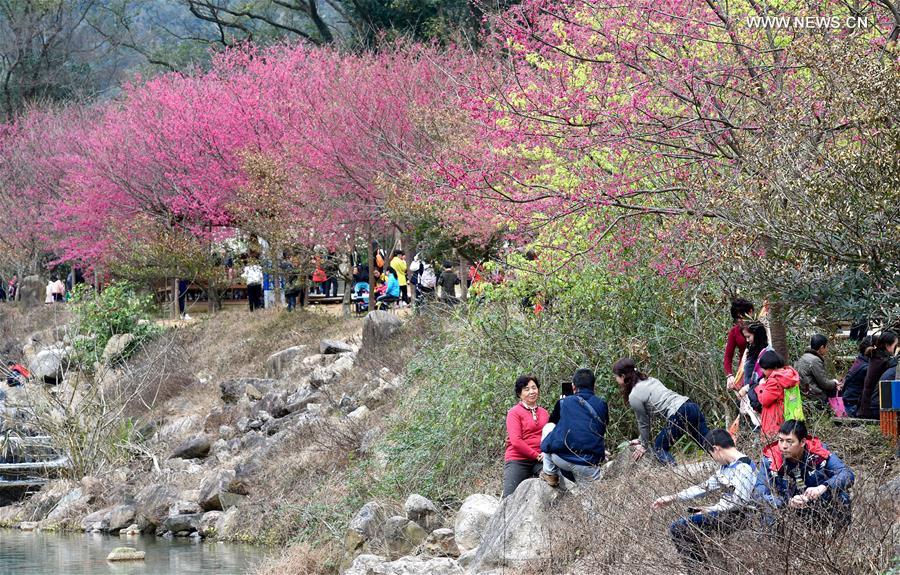 Visitors enjoy flowers at a park in Fuzhou, southeast China's Fujian Province, Feb. 18, 2016. 