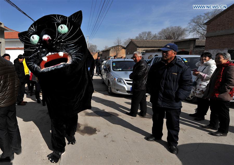 A folk artist wearing cat costume performs during a 'mouse marriage' shehuo show in Jiacun Village of Lucheng, north China's Shanxi Province, Feb. 17, 2016. 