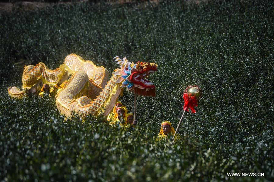 The event was also held as celebrations of the upcoming Lantern Festival on Feb. 22, which marks the last day of the lunar New Year celebration