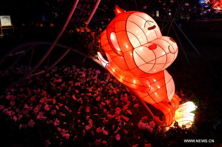 The Fo Guang Shan lantern show is held to greet the traditional Chinese Lantern Festival which falls on Feb. 22 this year.