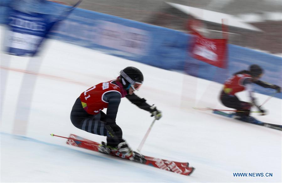 Riikka Honkanen (L) of Finland competes during the Parallel Mixed Team Event of Alpine Skiing at Lillehammer 2016 Winter Youth Olympic Games in Lillehammer, Norway on Feb. 20, 2016. 