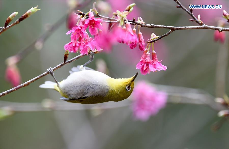 WEEKLY CHOICES OF XINHUA PHOTO