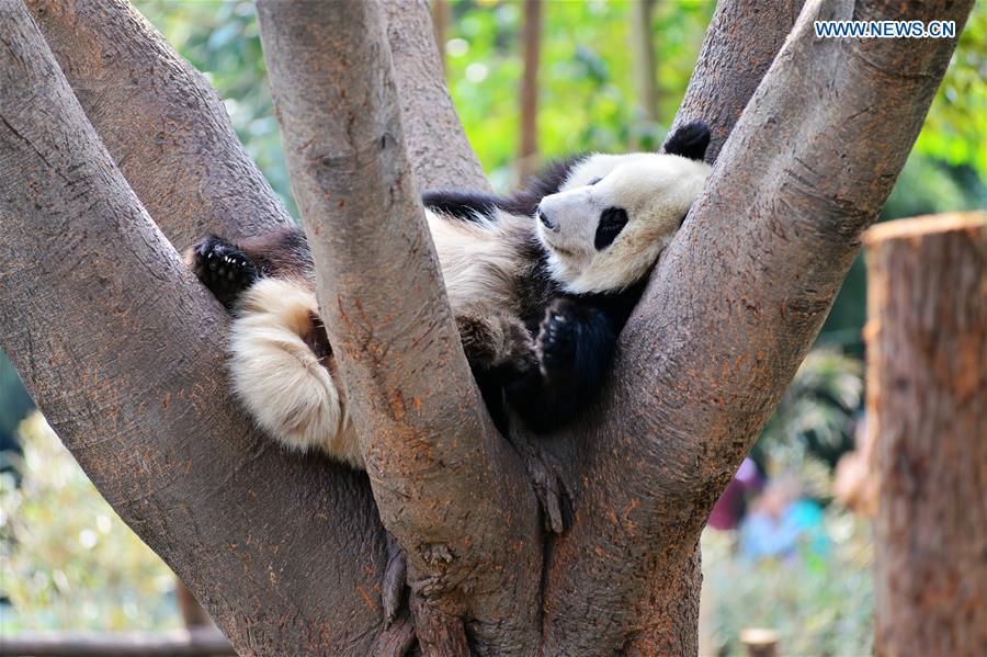 WEEKLY CHOICES OF XINHUA PHOTO