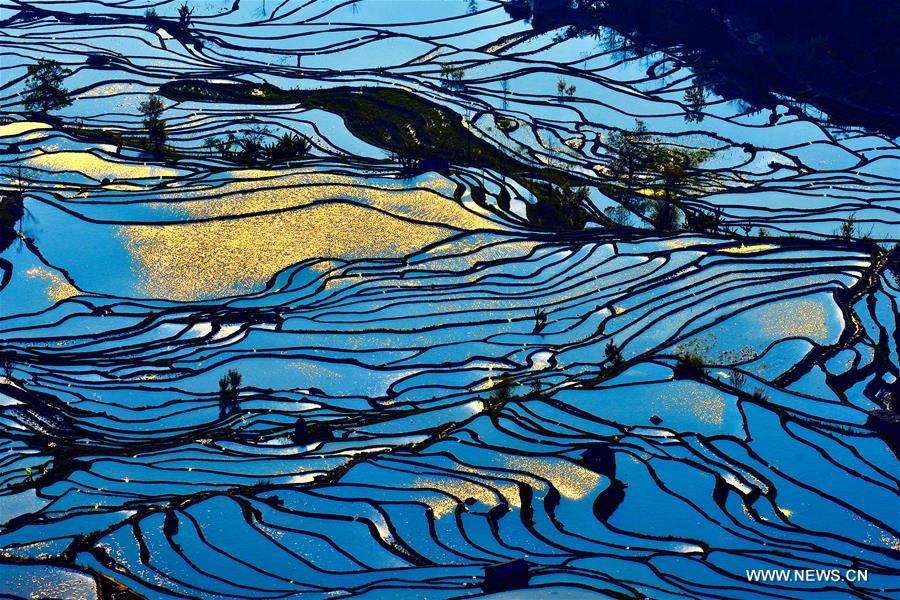 Yuanyang rice terraces are the 45th World Heritage Site in China