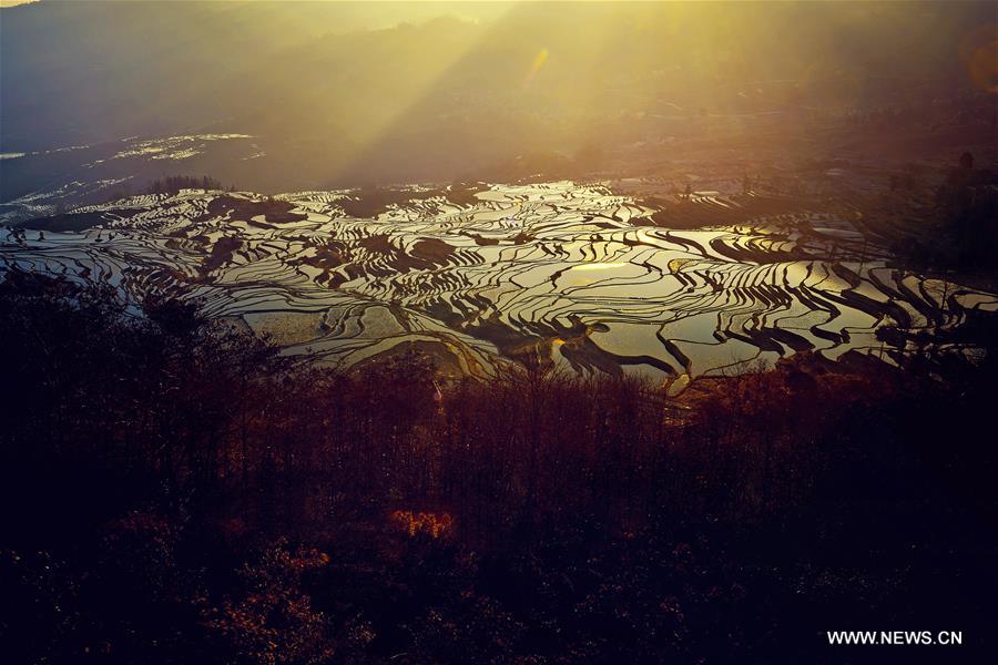 Yuanyang rice terraces are the 45th World Heritage Site in China