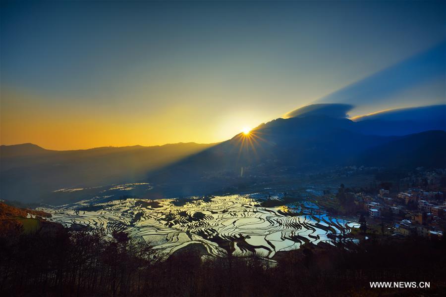 Yuanyang rice terraces are the 45th World Heritage Site in China