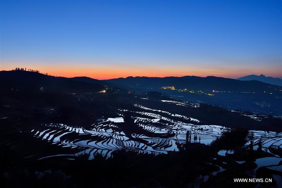 Yuanyang rice terraces are the 45th World Heritage Site in China