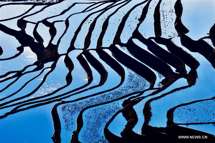 Yuanyang rice terraces are the 45th World Heritage Site in China