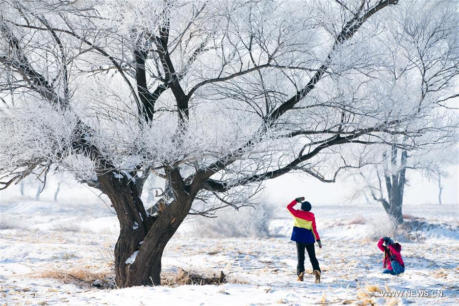 Tourists enjoy the rime scenery at a scenic spot in Jilin, northeast China's Jilin Province, Feb. 23, 2016. 