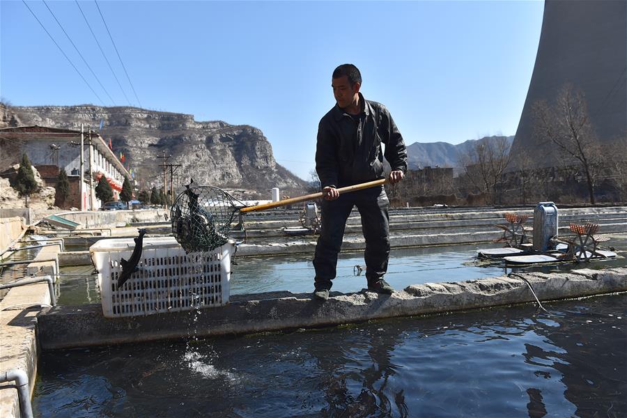 CHINA-TAIYUAN-FISH FARMING (CN)