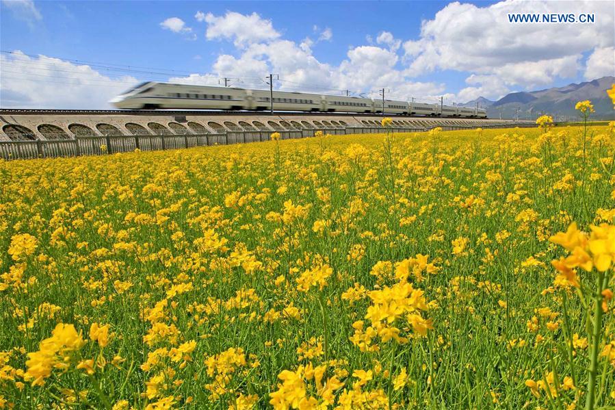 CHINA- HIGH-SPEED RAILWAY-INNOVATION (CN)