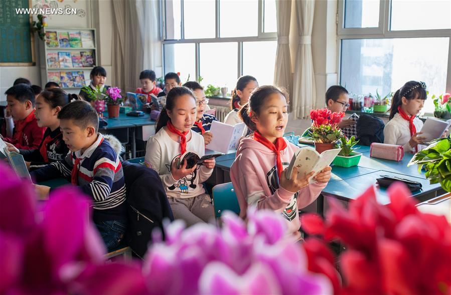 #CHINA-INNER MONGOLIA-CLASSROOM-PLANTS(CN)