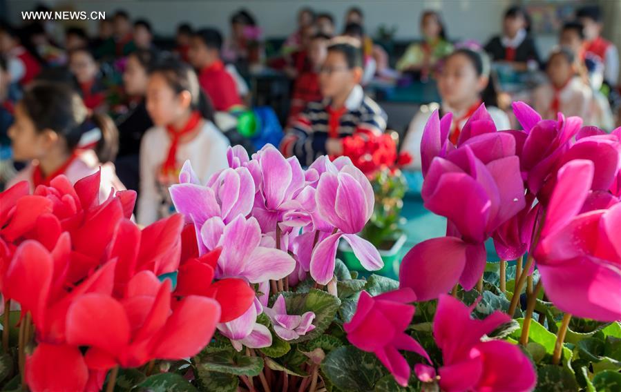 #CHINA-INNER MONGOLIA-CLASSROOM-PLANTS(CN)