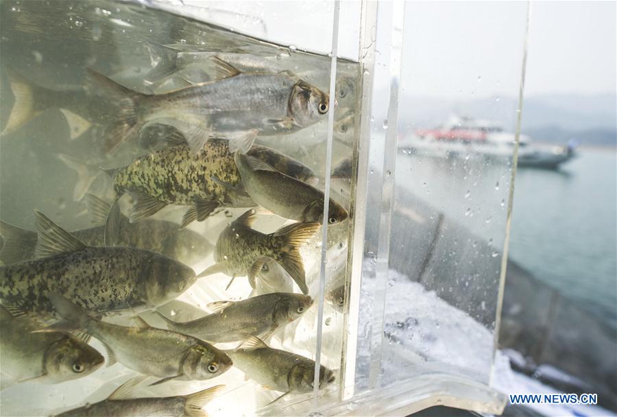 CHINA-YANGTZE RIVER-FISHING BAN (CN)