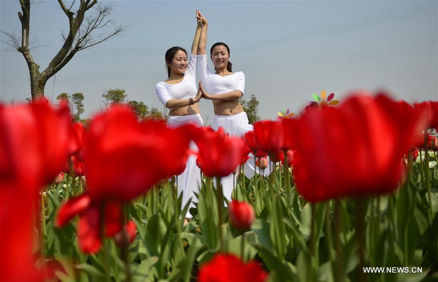 CHINA-NANCHANG-TULIP-DISPLAY (CN)