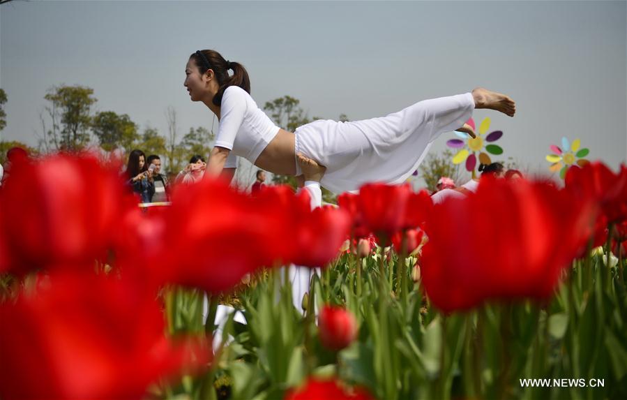 CHINA-NANCHANG-TULIP-DISPLAY (CN)