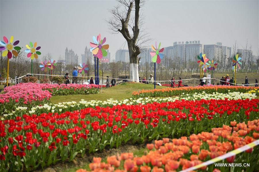 CHINA-NANCHANG-TULIP-DISPLAY (CN)