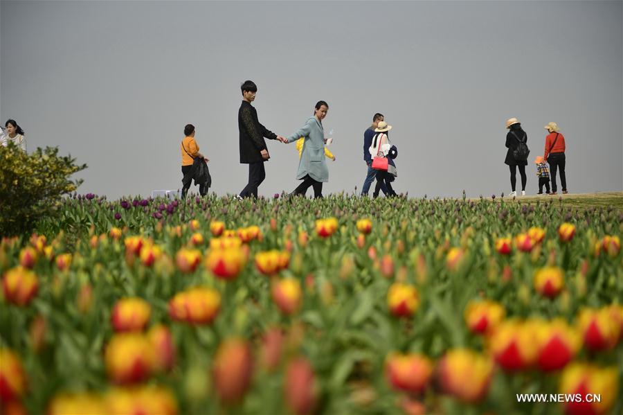 CHINA-NANCHANG-TULIP-DISPLAY (CN)