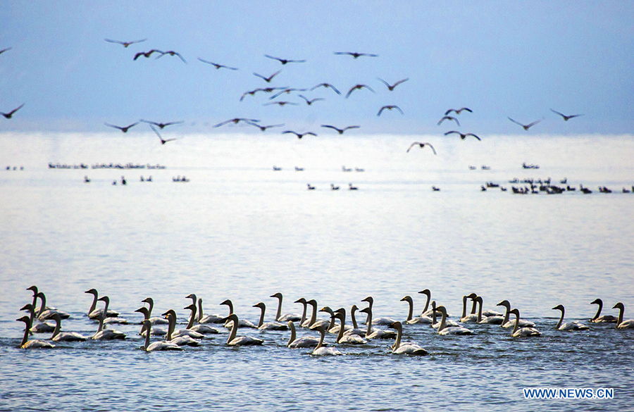 Fishing boats sail on the Poyang Lake in Duchang County, east China's Jiangxi Province, Sept. 20, 2014. 