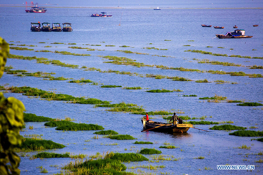 Fishing boats sail on the Poyang Lake in Duchang County, east China's Jiangxi Province, Sept. 20, 2014. 