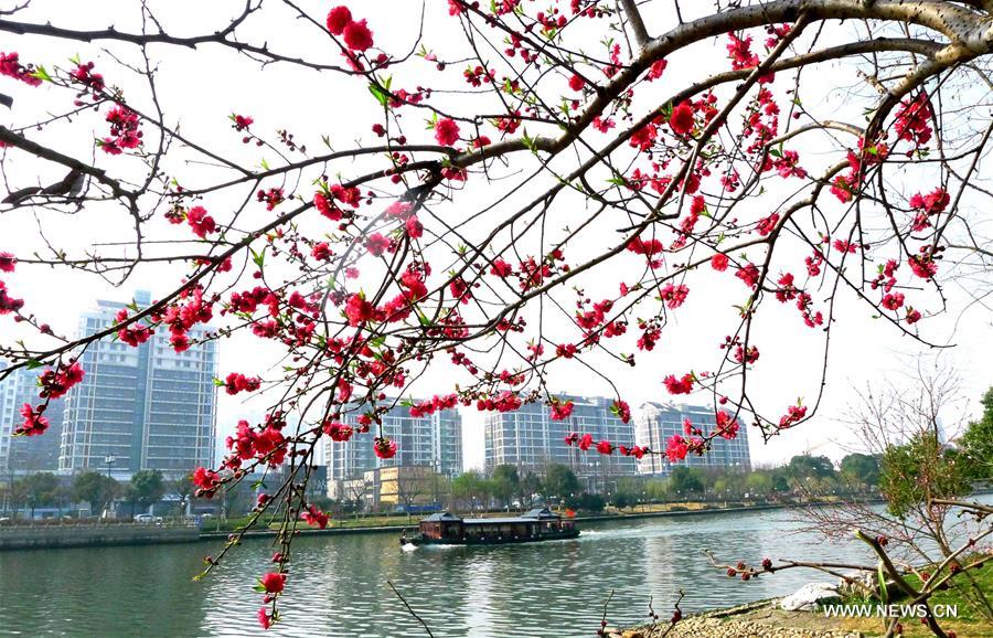 #CHINA-SPRING SCENERY (CN)