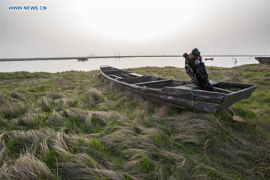 #CHINA-JIANGXI-POYANG LAKE-DRY SEASON (CN)