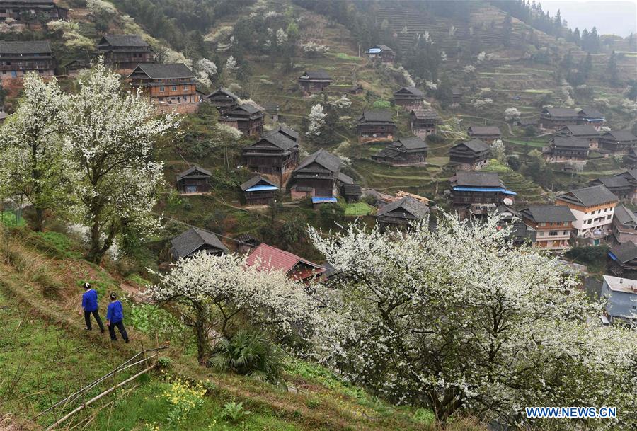 Girls of Dong ethnic group walk in a village, which is decorated by plum blossoms, in Tangshui Village of Bajiang Township in Sanjiang Dong Autonomous County, south China's Guangxi Zhuang Autonomous Region, March 8, 2016. 