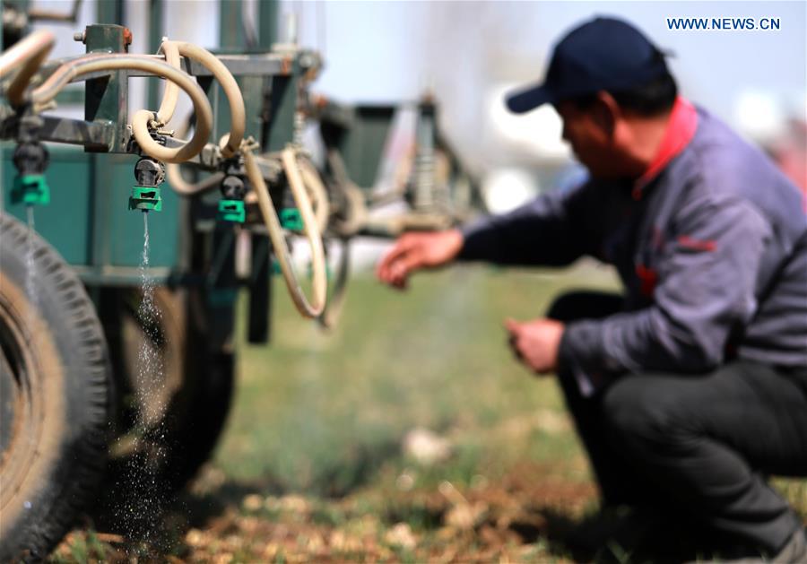 #CHINA-HEBEI-SPRING-FARMING (CN)