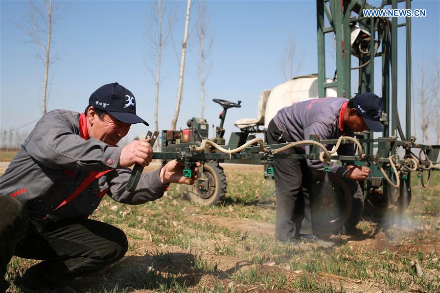 #CHINA-HEBEI-SPRING-FARMING (CN)