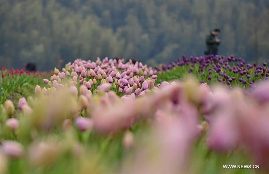 CHINA-NANCHANG-SCENERY(CN)