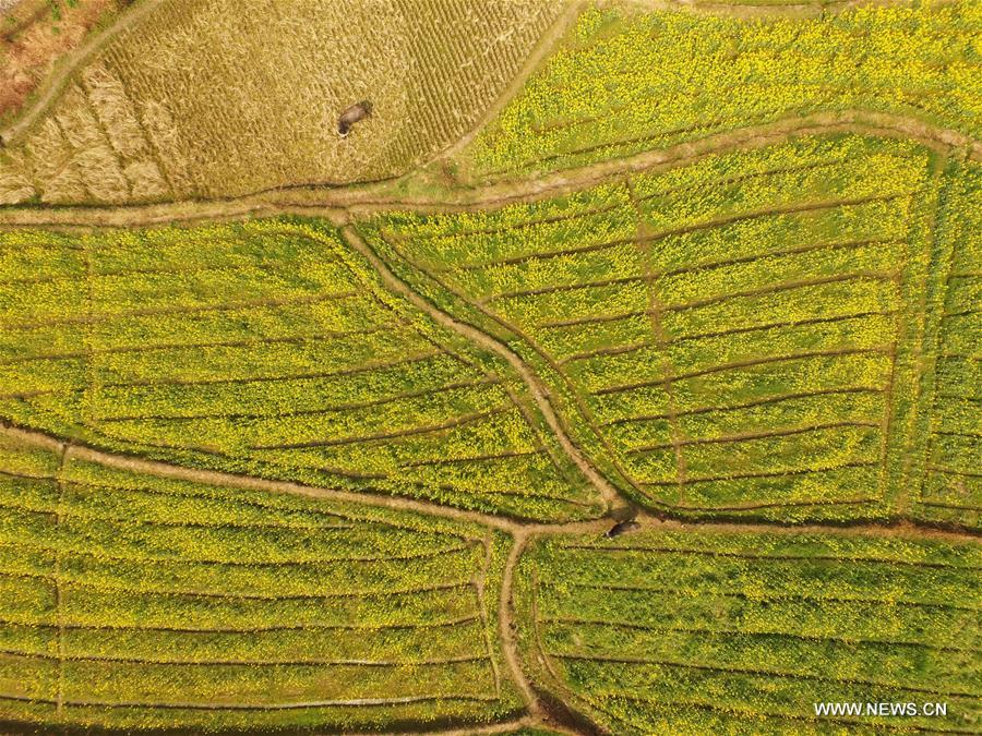 CHINA-NANCHANG-SCENERY(CN)