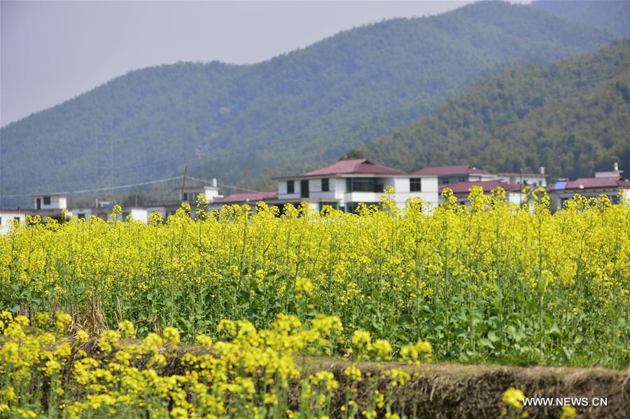 CHINA-NANCHANG-SCENERY(CN)