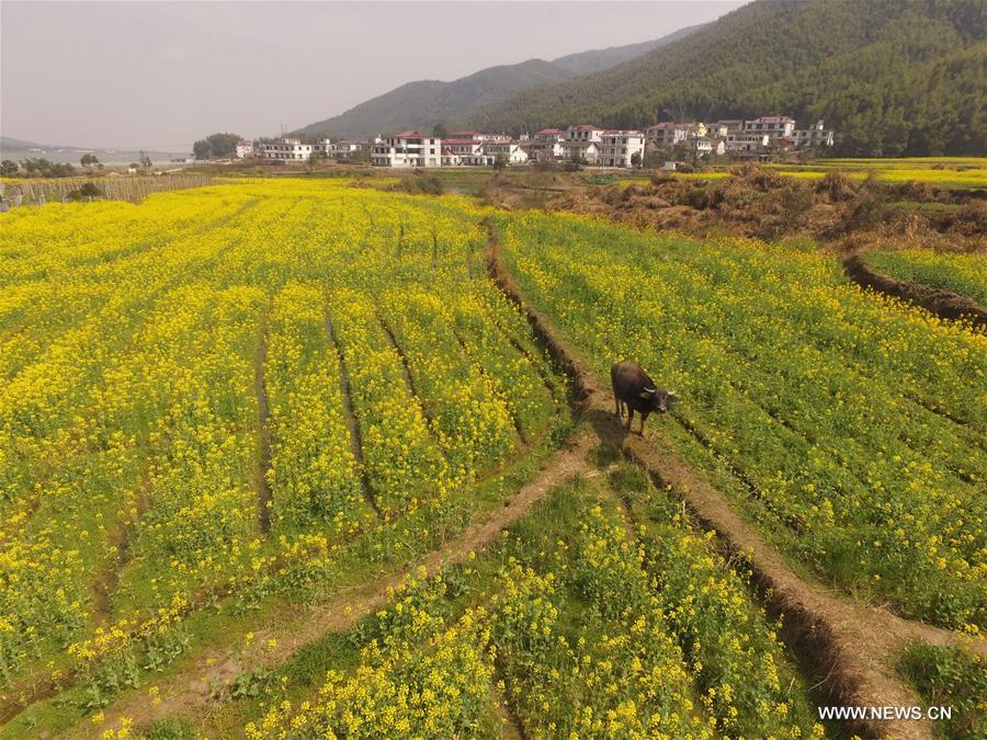 CHINA-NANCHANG-SCENERY(CN)