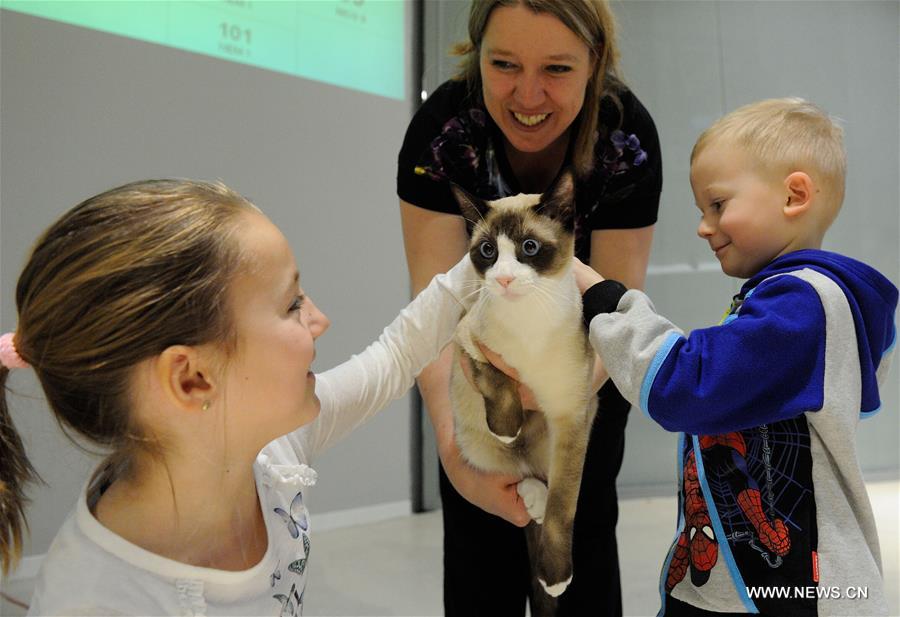 About 200 cats of some 20 breeds from 7 countries took part in the exhibition