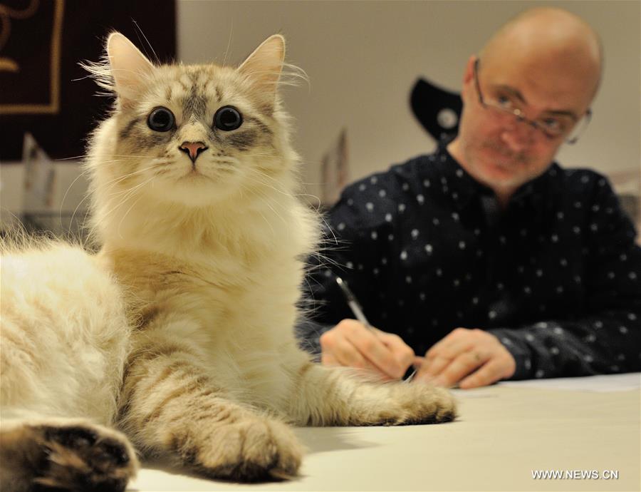 About 200 cats of some 20 breeds from 7 countries took part in the exhibition