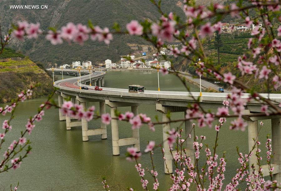 #CHINA-SPRING-SCENERY(CN)