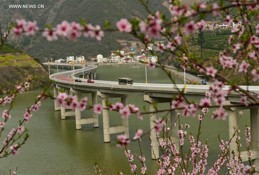 #CHINA-SPRING-SCENERY(CN)