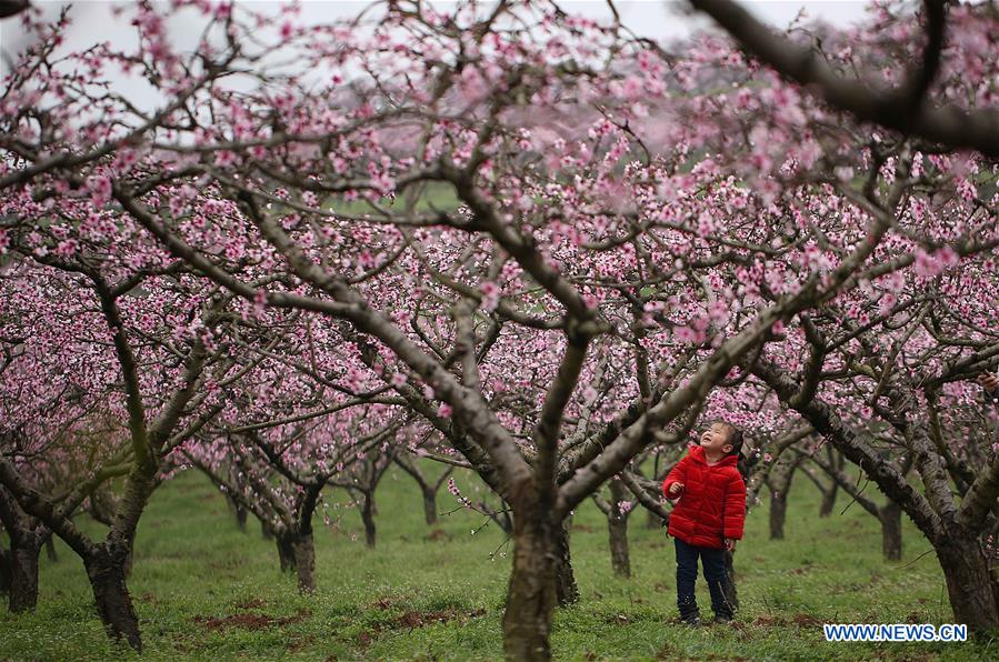 #CHINA-SPRING-SCENERY(CN)