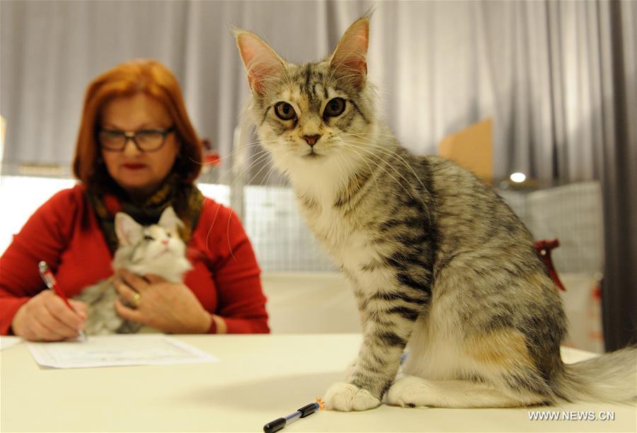 About 200 cats of some 20 breeds from 7 countries took part in the exhibition