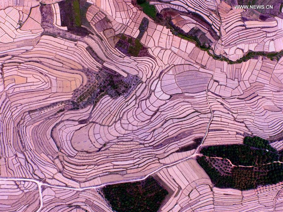 CHINA-GUANGXI-BAISE-WATERMELON TERRACES (CN)