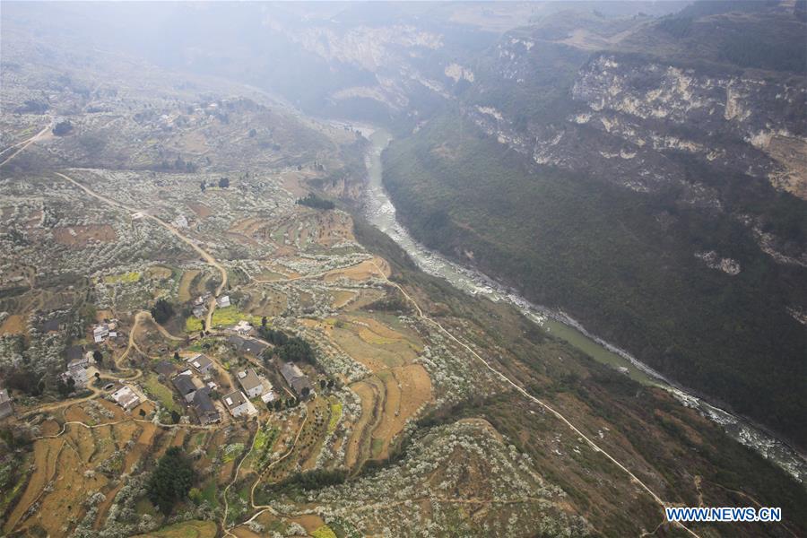 #CHINA-SPRING SCENERY-FARMLAND (CN)