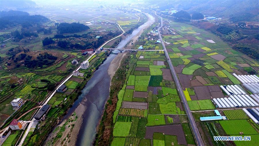 Photo taken on March 16, 2016 shows peach blossoms in the fields at Chahe Village of Luzhou City, southwest China's Sichuan Province. 