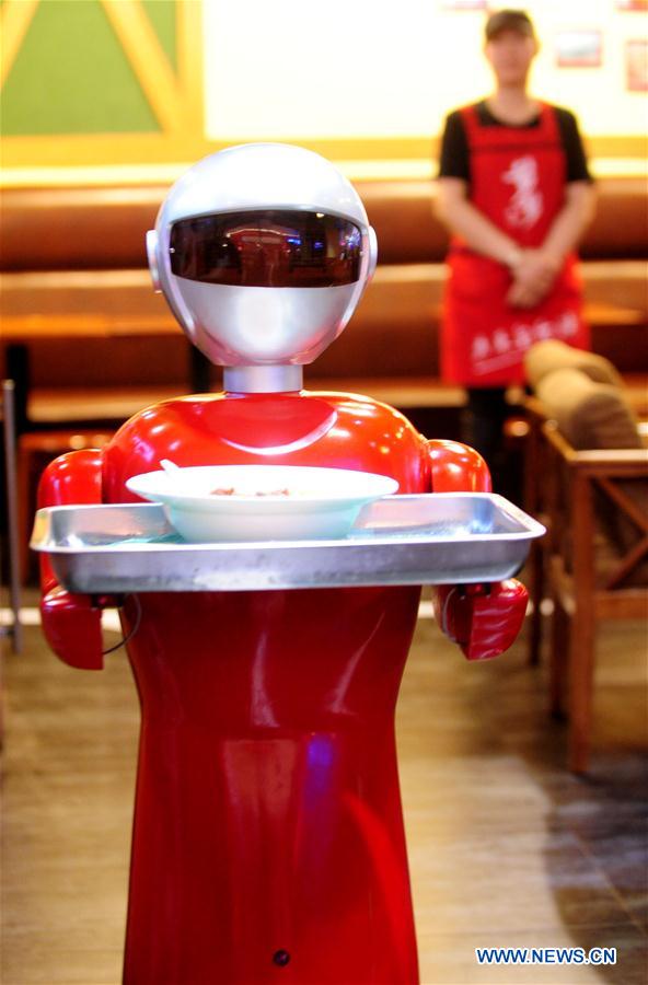 #CHINA-SHENYANG-ROBOT SERVICE (CN)