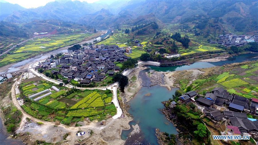 Photo taken on March 16, 2016 shows peach blossoms in the fields at Chahe Village of Luzhou City, southwest China's Sichuan Province. 