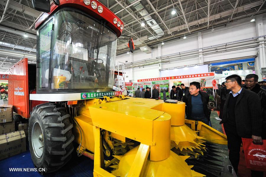 CHINA-INNER MONGOLIA-INTERNATIONAL AGRICULTURAL EXPO (CN)