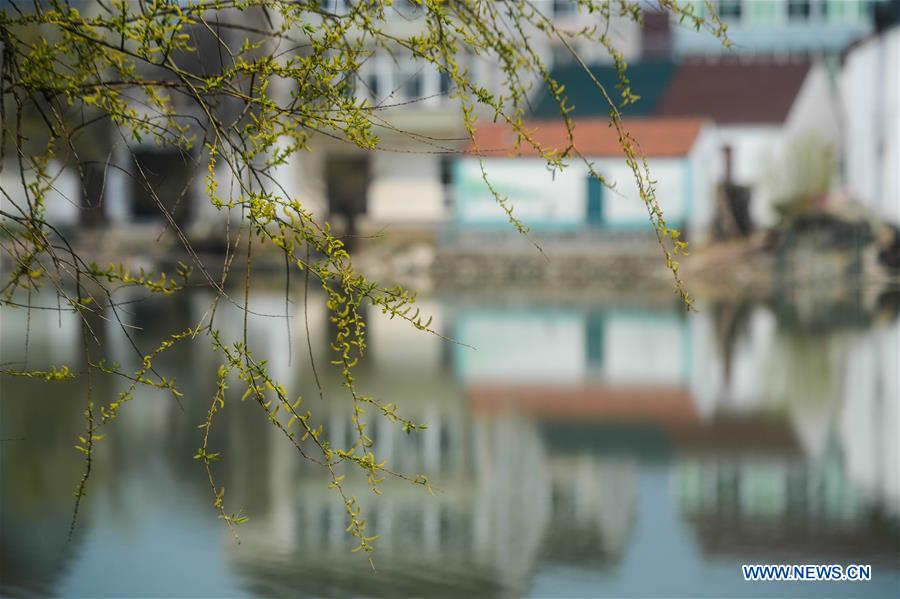 A sightseeing boat sails on water at a wetland by the Taihu Lake in Changxing County, est China's Zhejiang Province, March 16, 2016. 