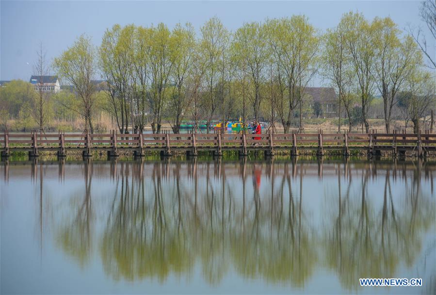 A sightseeing boat sails on water at a wetland by the Taihu Lake in Changxing County, est China's Zhejiang Province, March 16, 2016. 
