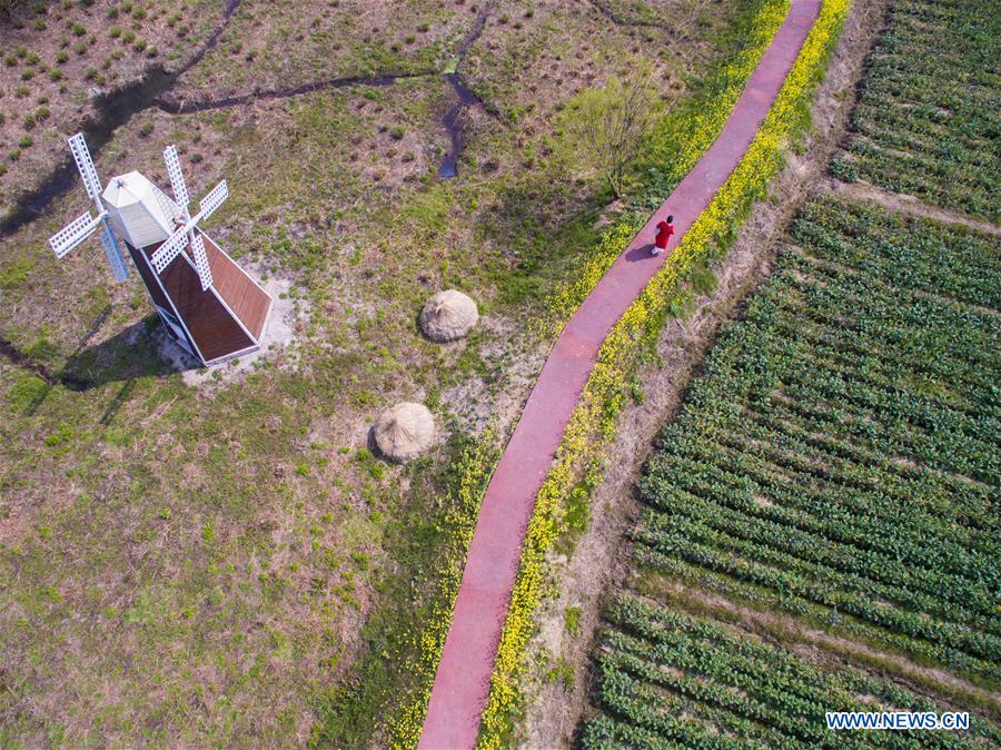 A sightseeing boat sails on water at a wetland by the Taihu Lake in Changxing County, est China's Zhejiang Province, March 16, 2016. 
