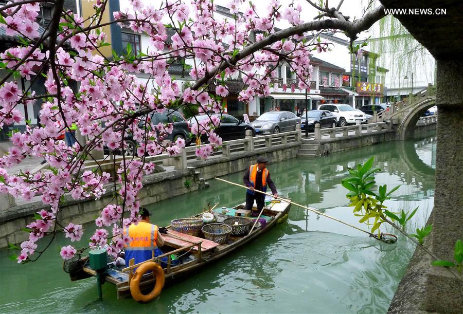 #CHINA-JIANGSU-SUZHOU-PEACH BLOSSOM (CN)